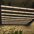 Low Price 600W 8bar LED Grow Plant Light